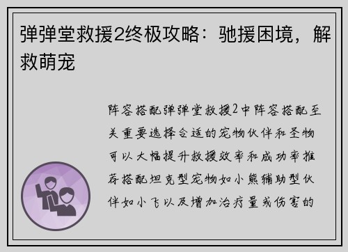 弹弹堂救援2终极攻略：驰援困境，解救萌宠